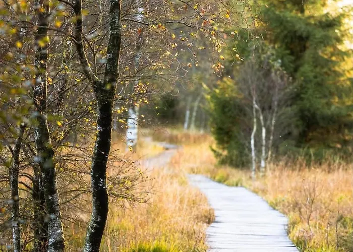 Apartment Aux Caillebotis *