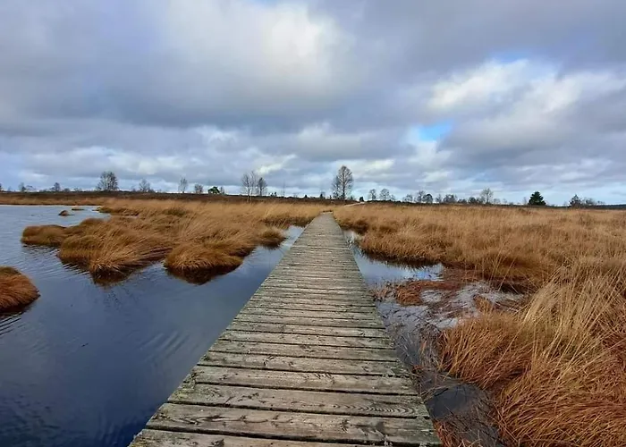 Aux Caillebotis * Waimes