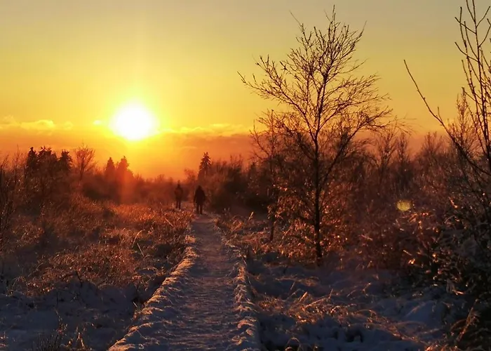 Aux Caillebotis アパート