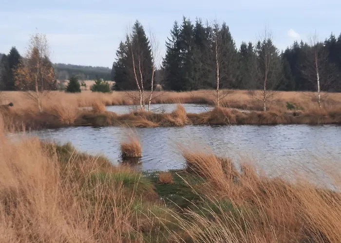 Aux Caillebotis * Waimes