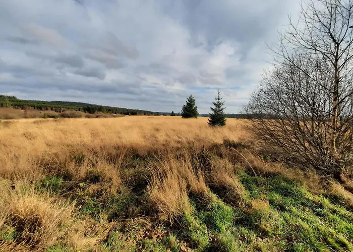 Apartment Aux Caillebotis *